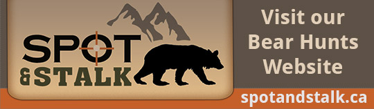 Visit our bear hunting website