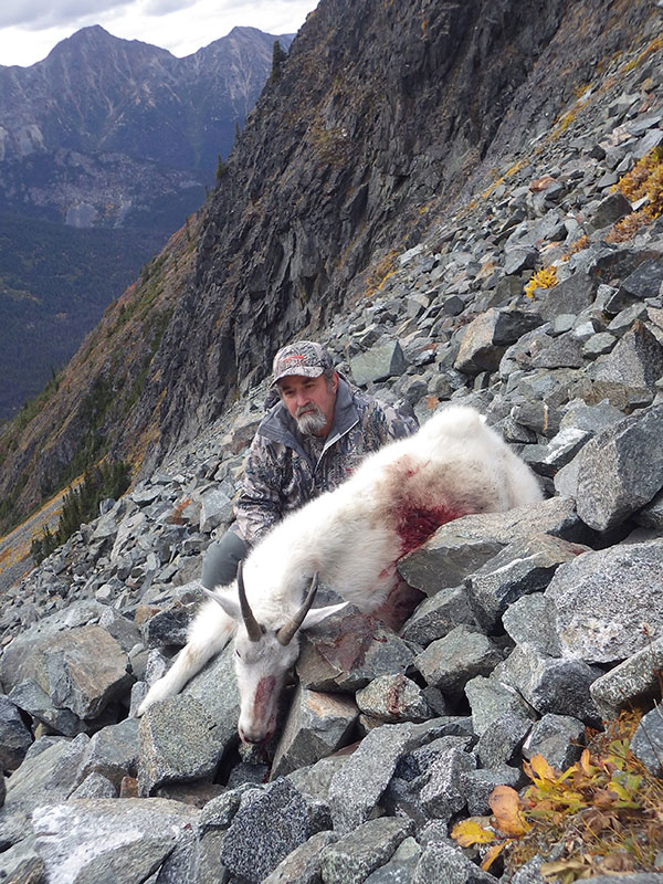 BC Mountain Goat Hunts in BC Canada, Guided Goat Hunting with Circle M ...